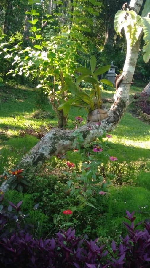 Balian Bliss Retreat Resort - Adults Only מראה חיצוני תמונה