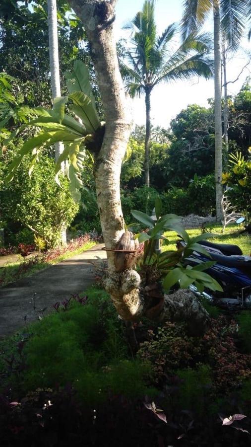 Balian Bliss Retreat Resort - Adults Only מראה חיצוני תמונה